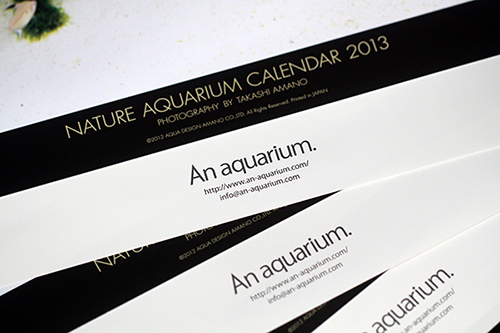 2013 ADA Calendar