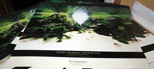 2013 ADA Calendar