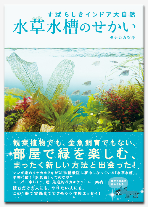 水草水槽のせかい