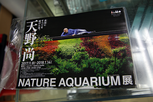 NATURE AQUARIUM Exhibition