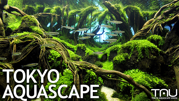 TOKYO AQUASCAPE